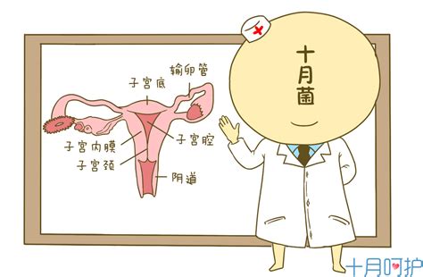 女人病是什么|女人常见妇科病有哪些？15种常见妇科疾病防治指南（妇科病大全…